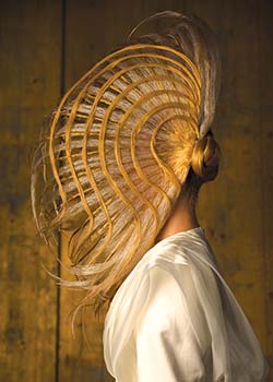 © Dmitry Vinokurov - Hair Beauty HAIR COLLECTION