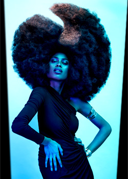 © Norm Wright - Taz Hair Company HAIR COLLECTION